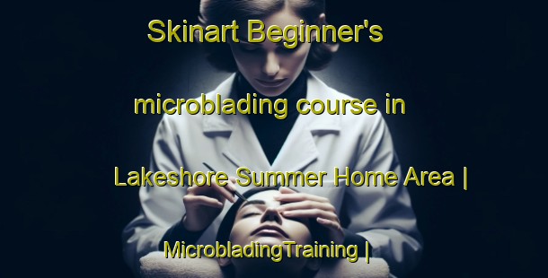 Skinart Beginner's microblading course in Lakeshore Summer Home Area | MicrobladingTraining | MicrobladingClasses | SkinartTraining-United States